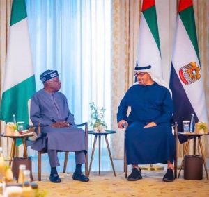 The Nigerian and United Arab Emirates presidents discuss during the former's visit to Abu Dhabi.