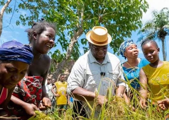 Feed Salone: can Bio's initiative achieve food security for Sierra Leone?